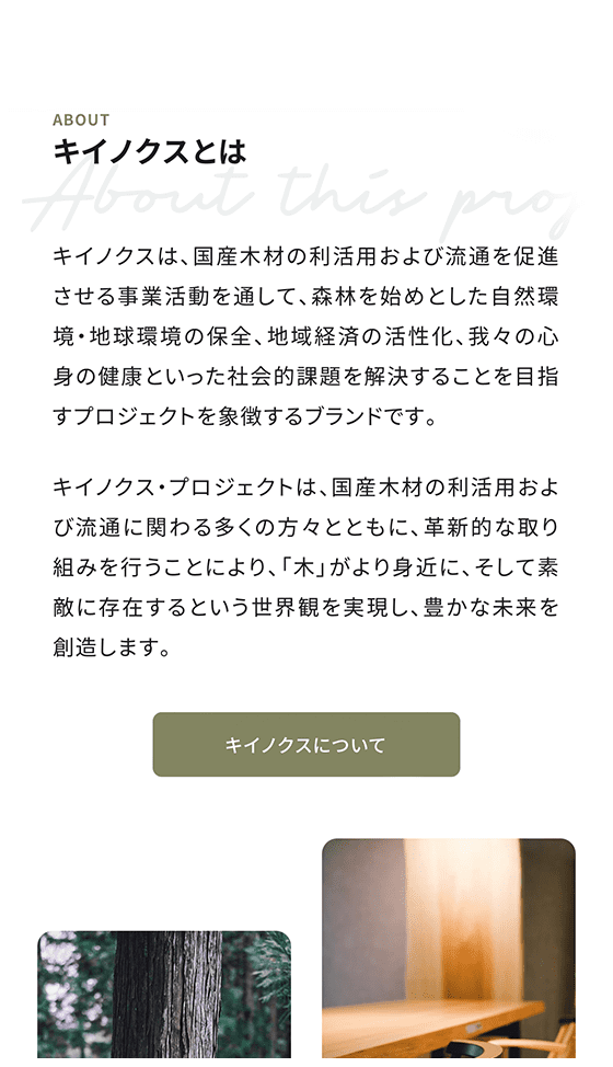 kiinnox_3枚目